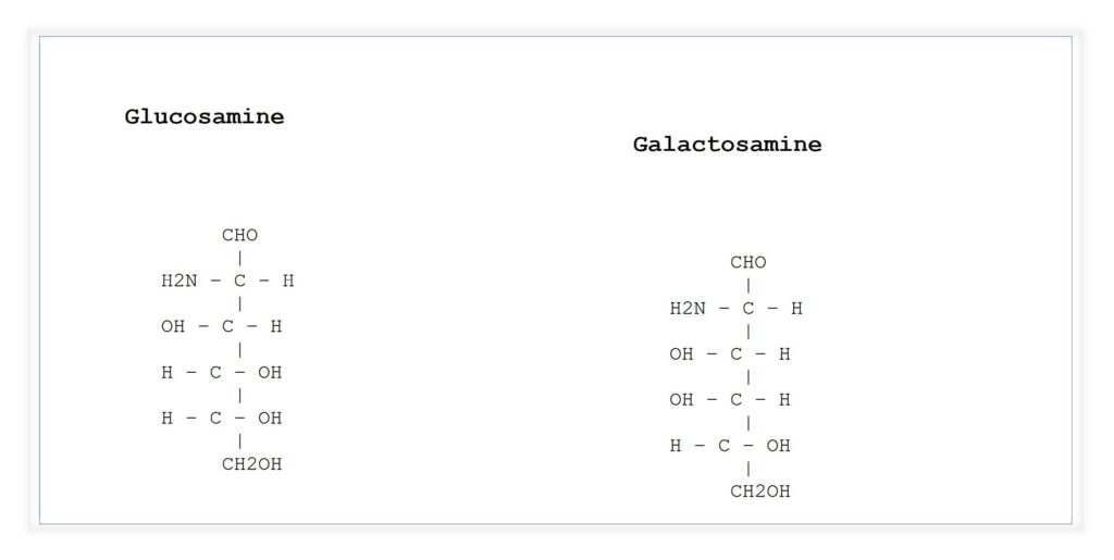 Glucosamine and Galactosamine