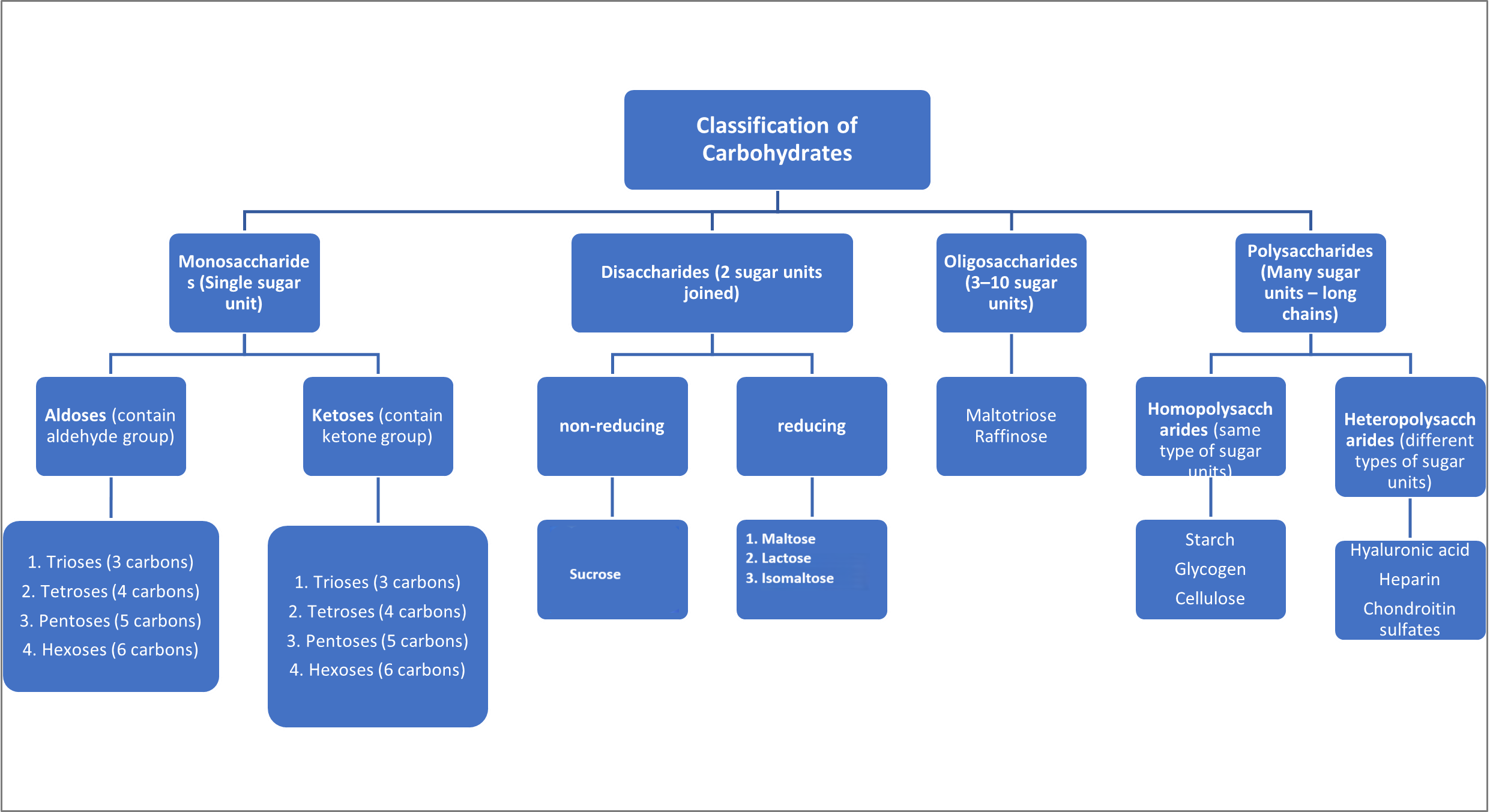 classification of carbohydrates